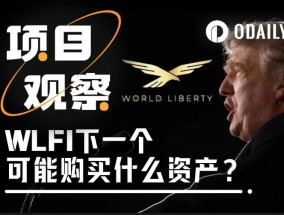 特朗普家族项目WLFI接下来可能买入哪些资产？