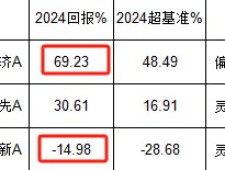 摩根士丹利基金雷志勇2024业绩首尾相差84%，被质疑不公平对待投资者：大摩数字经济赚69% 大摩万众创新亏14%