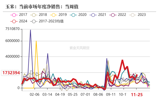 玉米：静待花开